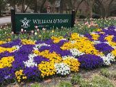 William and Mary sign